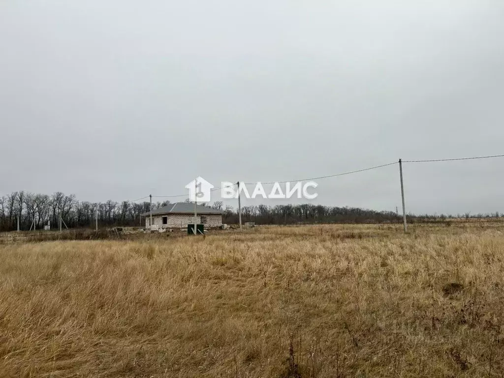 Участок в Пензенская область, с. Бессоновка ул. Ключевая (10.0 сот.) - Фото 1