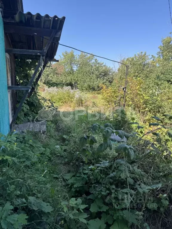 Дом в Тюменская область, Тюмень Аккумуляторщик-1 СНТ, ул. Центральная, ... - Фото 1