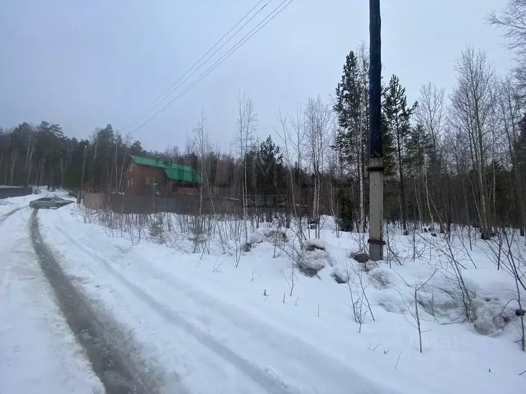 Участок в Свердловская область, Новоуральск ул. Мичурина (20.0 сот.) - Фото 2
