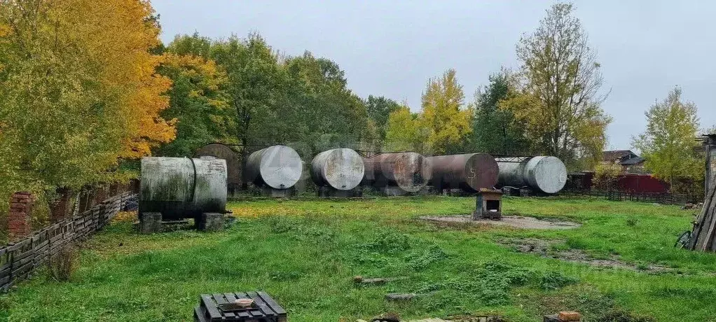 Участок в Калининградская область, Гурьевский муниципальный округ, ... - Фото 0