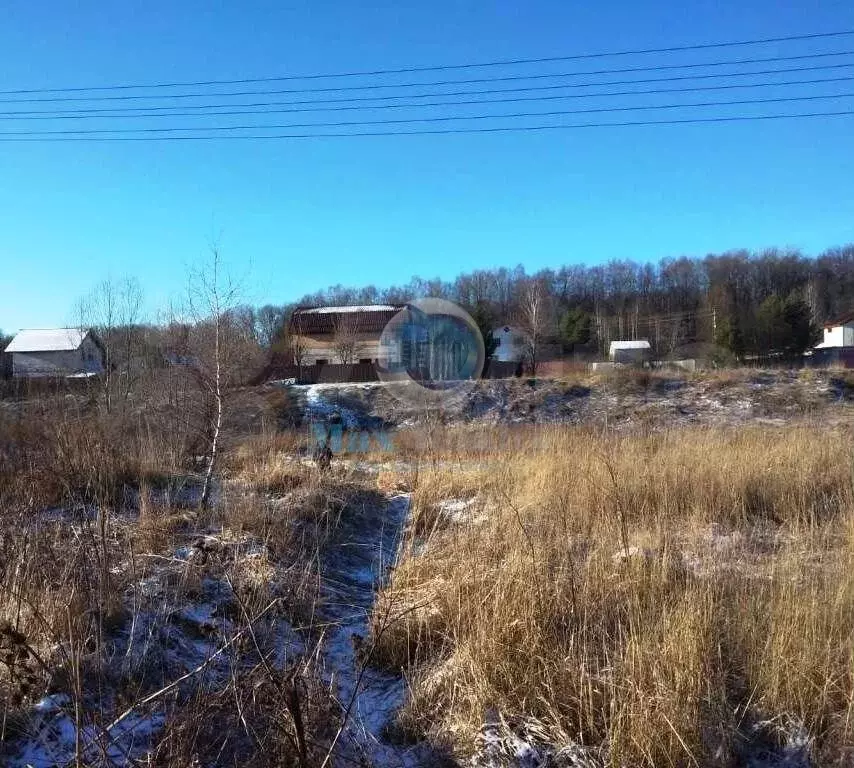 Купить Квартиру В Молоди Чеховского Района