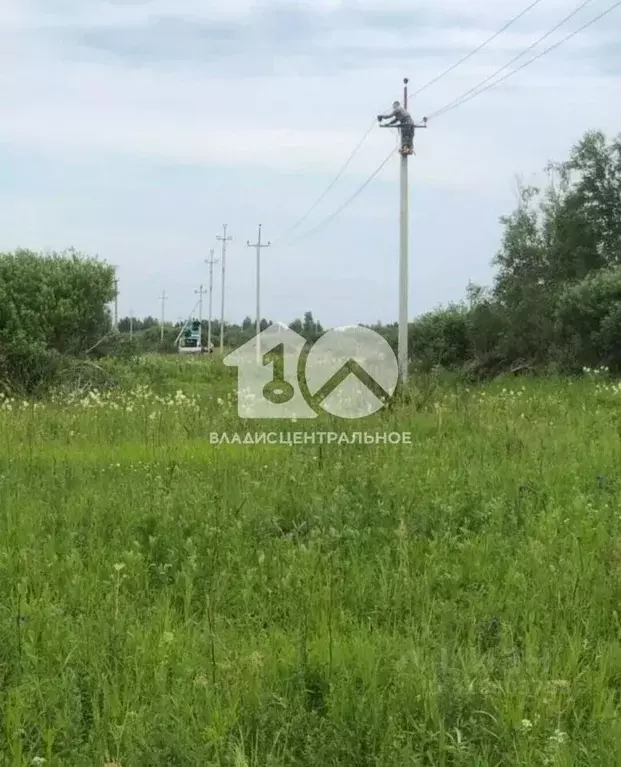 Участок в Новосибирская область, Колыванский район, Пять озер СНТ ... - Фото 1