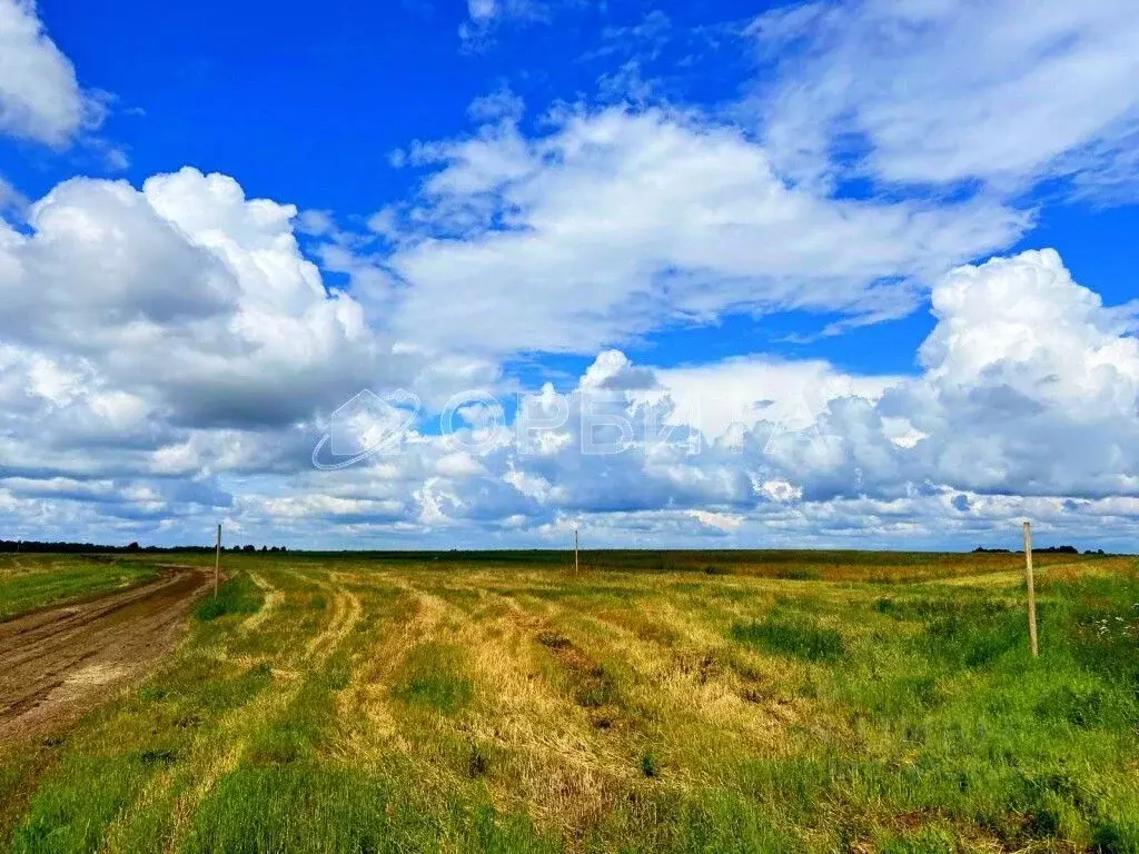 Участок в Тюменская область, Тюменский район, Новокаменский кп  (11.0 ... - Фото 1