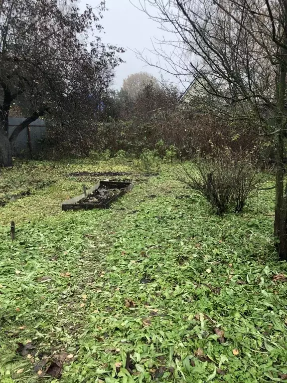 Участок в Московская область, Богородский городской округ, Химик ... - Фото 1