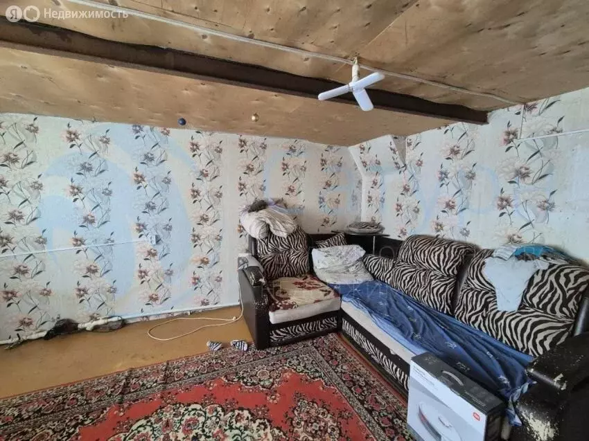 Дом в Курган, СТ Тепличный, 144А (30 м) - Фото 2