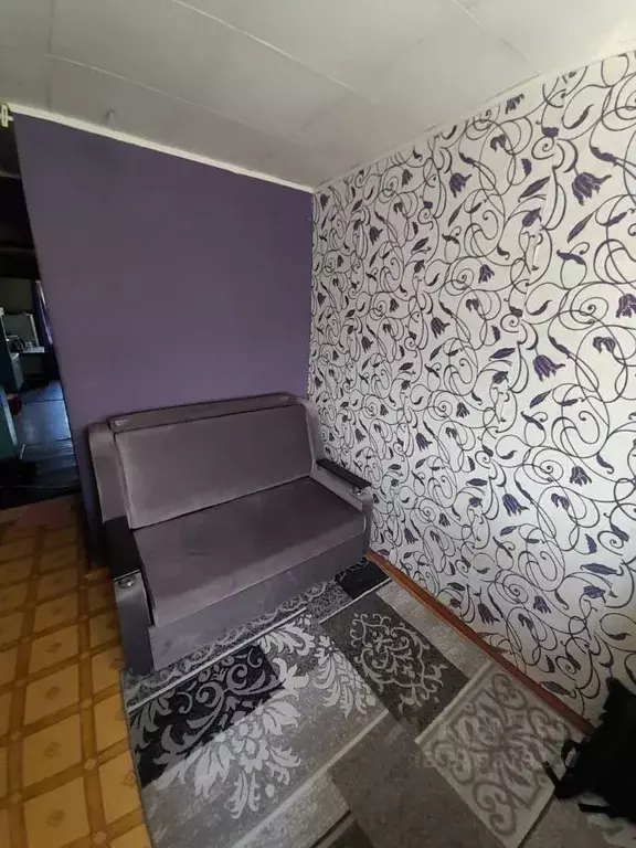 Комната Новосибирская область, Новосибирск ул. Немировича-Данченко, ... - Фото 1
