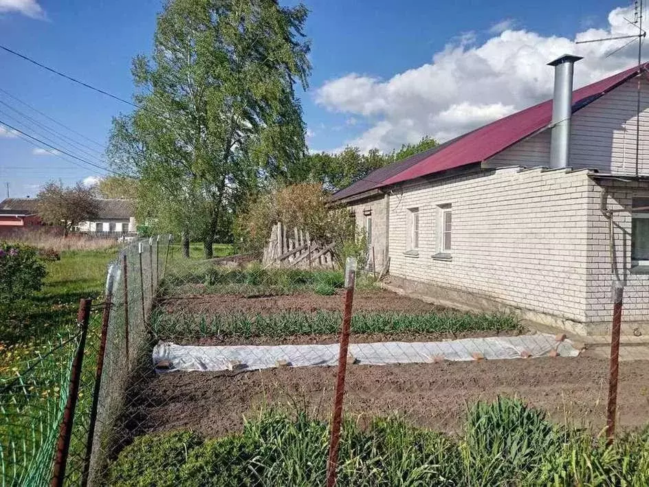 Дом 58 м на участке 12 сот. - Фото 1