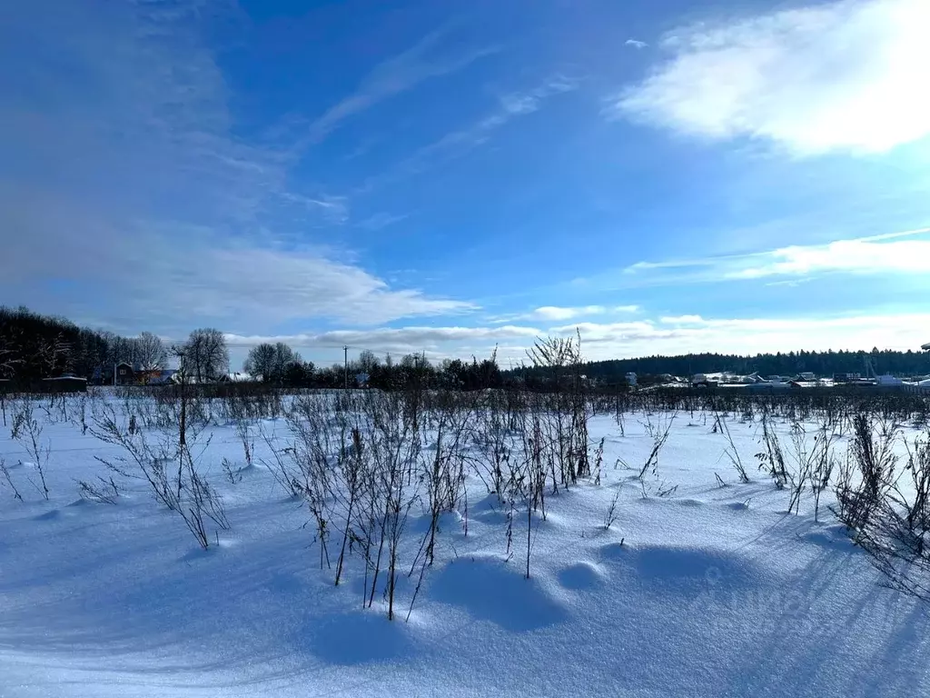 Участок в Московская область, Одинцовский городской округ, с. ... - Фото 2
