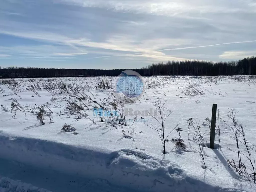 Участок в Московская область, Домодедово городской округ, д. Красино 8 ... - Фото 1