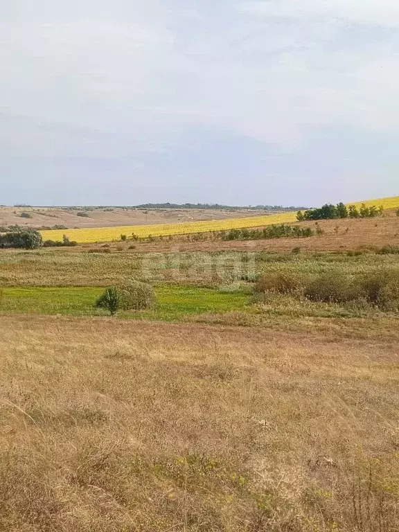 Участок в Белгородская область, Новооскольский муниципальный округ, с. ... - Фото 1