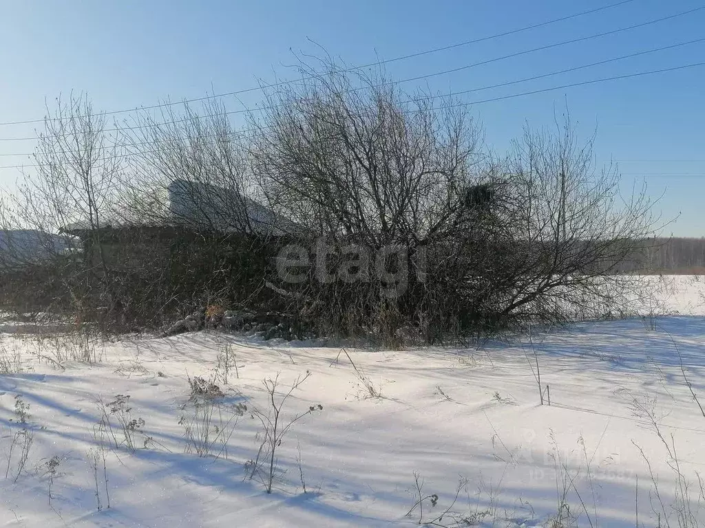 Дом в Свердловская область, Тугулымский муниципальный округ, д. Гилева ... - Фото 1