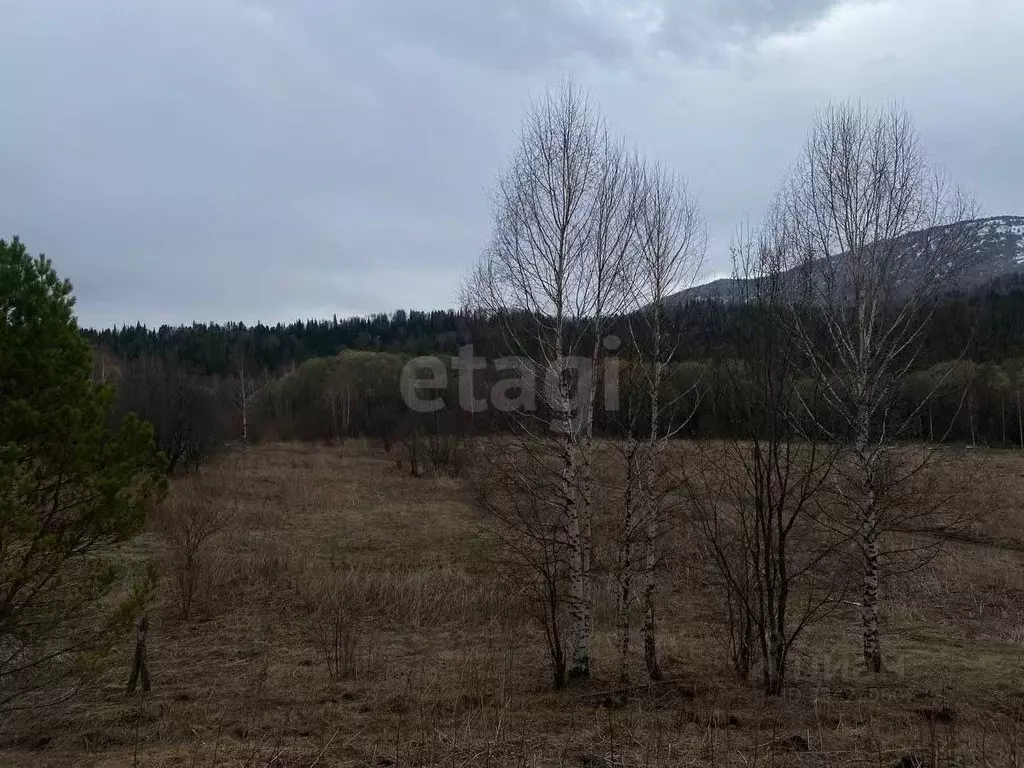 Участок в Алтай, Чойский район, с. Кара-Торбок ул. Дилевская (24.47 ... - Фото 1