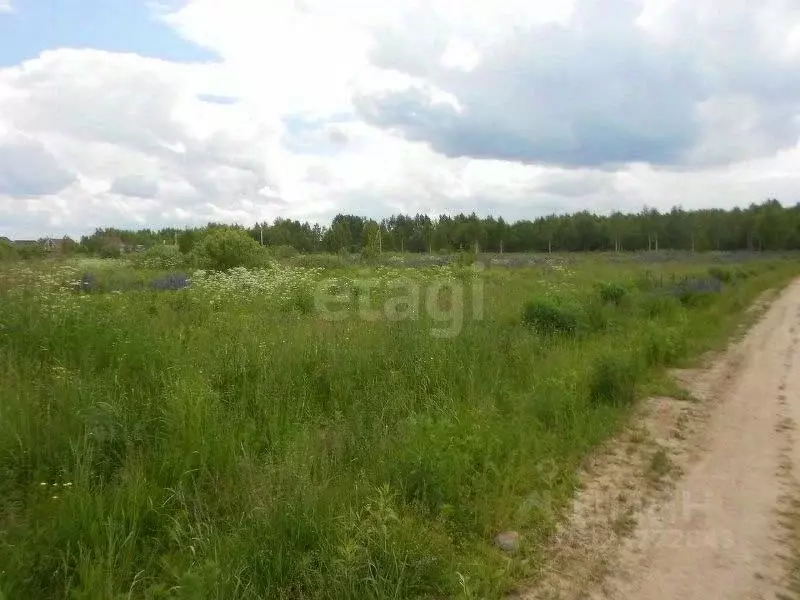 Участок в Нижегородская область, Городецкий муниципальный округ, с. ... - Фото 1