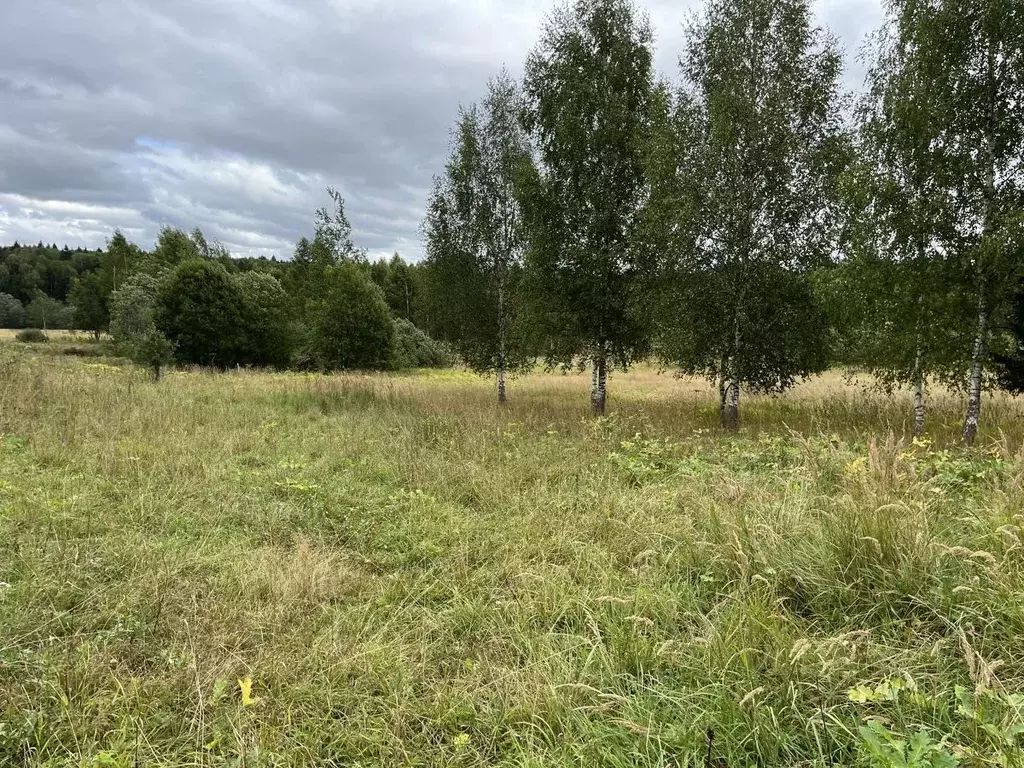 Участок в Московская область, Дмитровский городской округ, д. Доронино ... - Фото 1