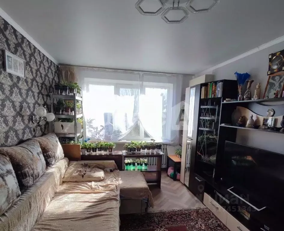 2-к кв. Ростовская область, Шахты Депутатская ул., 16 (46.4 м) - Фото 1