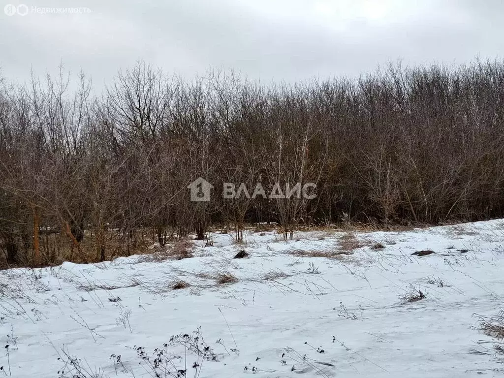 Участок в село Ильинка, улица Фадеевка (36 м) - Фото 0