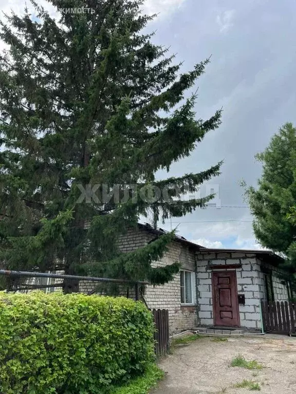 3-комнатная квартира: Обь, Геодезическая улица, 64 (64 м) - Фото 2