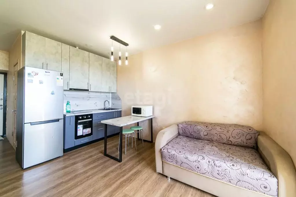 Студия Амурская область, Благовещенский район, с. Чигири ул. Красная, ... - Фото 2