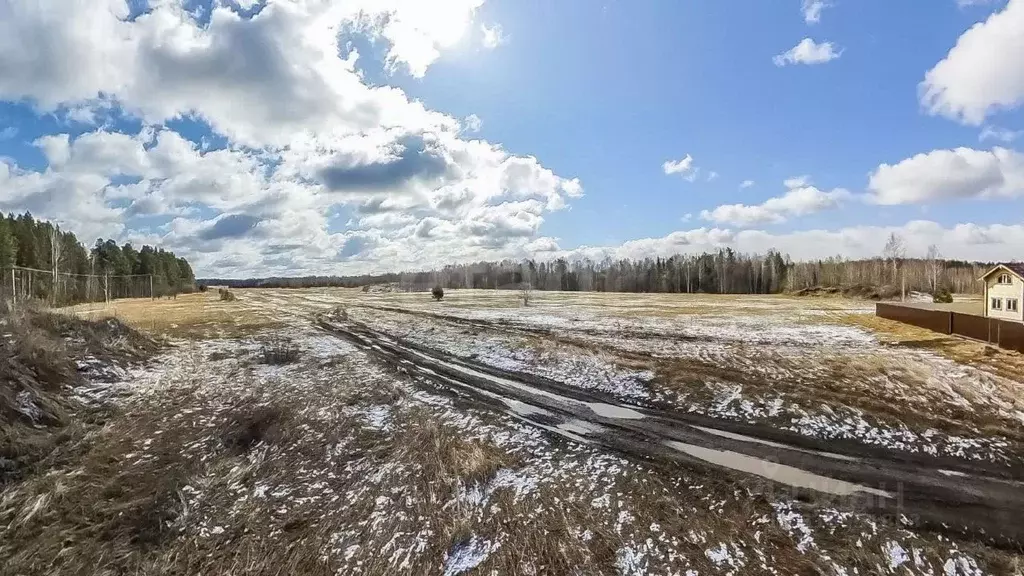 Участок в Тюменская область, Нижнетавдинский район, Земляника кп  ... - Фото 0