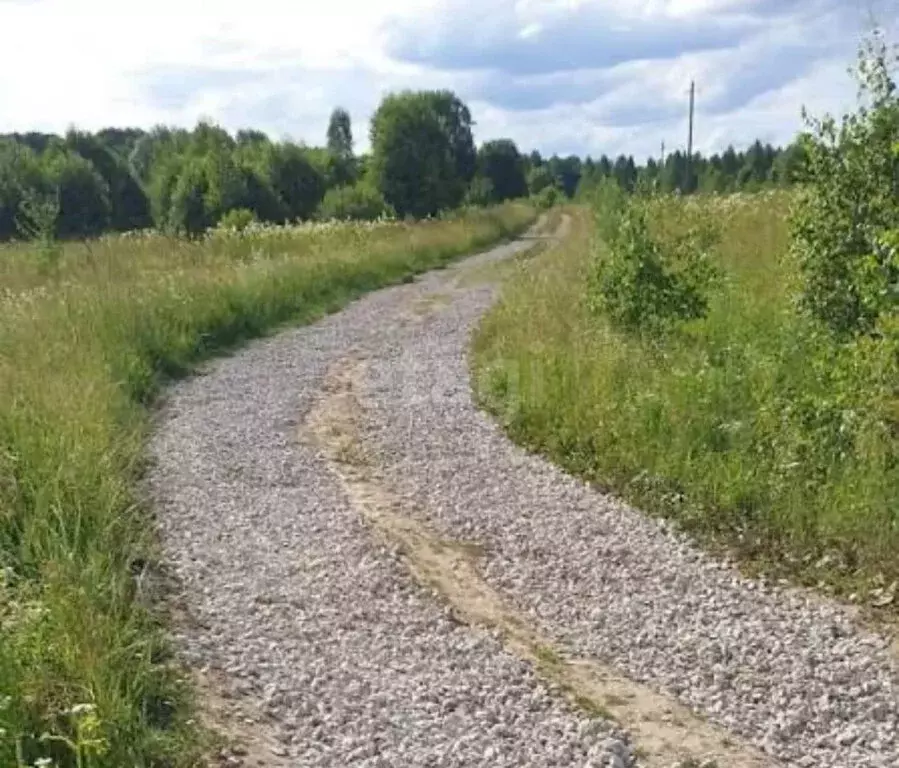 Участок в Калужская область, Медынский муниципальный округ, сельское ... - Фото 1