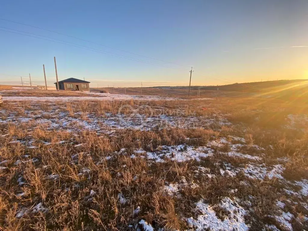 Участок в Волгоградская область, Городищенский район, Царицынское ... - Фото 2