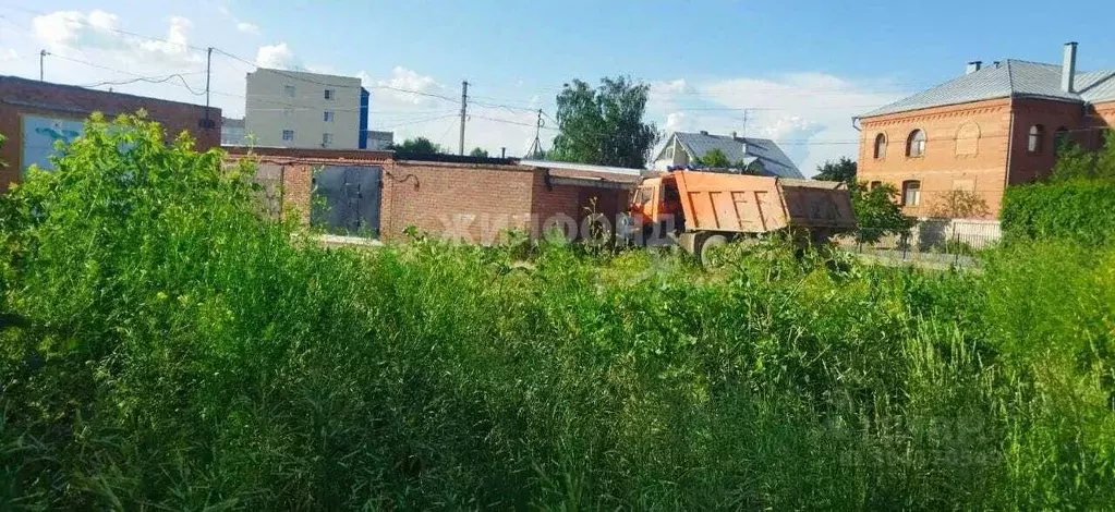 участок в новосибирская область, новосибирский район, с. криводановка . - Фото 0