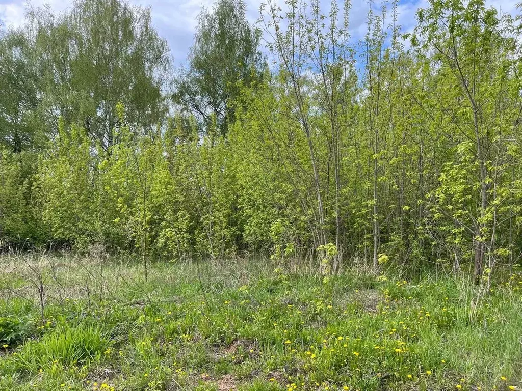 Участок в Московская область, Домодедово городской округ, д. ... - Фото 1