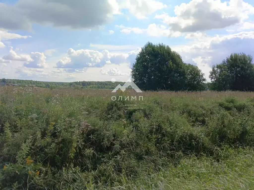 Участок в Вологодская область, с. Погорелово ул. Центральная (29.0 ... - Фото 2