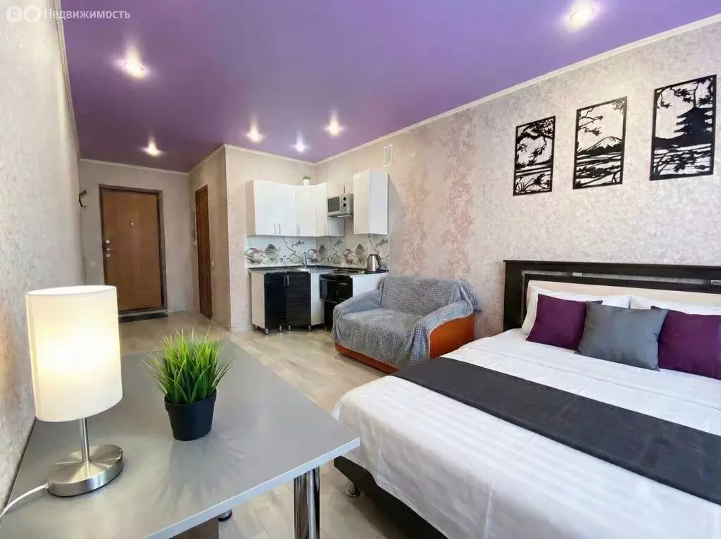 Квартира-студия: Саратов, Огородная улица, 157 (23 м) - Фото 1
