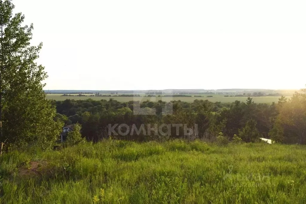 Участок в Воронежская область, Рамонский район, с. Ямное Комсомольская ... - Фото 1