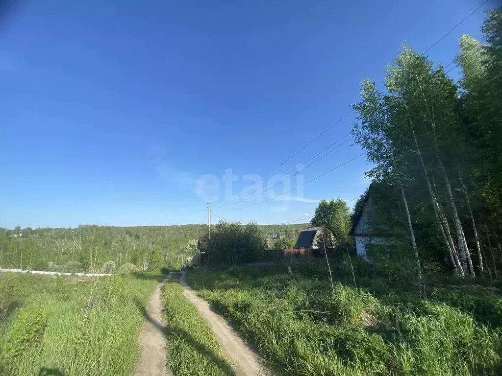 Участок в Новосибирская область, Новосибирский район, Барышевский ... - Фото 0