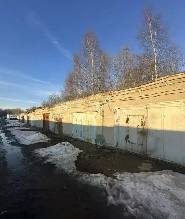 Гараж в Тюменская область, Тобольск Биолог СНТ, ул. Дачная, 6 (27 м) - Фото 1