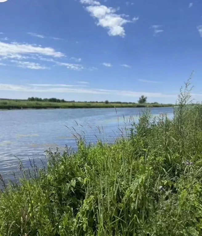 Участок в Калининградская область, Гвардейский муниципальный округ, ... - Фото 2