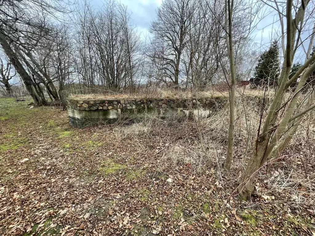 Участок в Калининградская область, Светлогорский городской округ, пос. ... - Фото 2