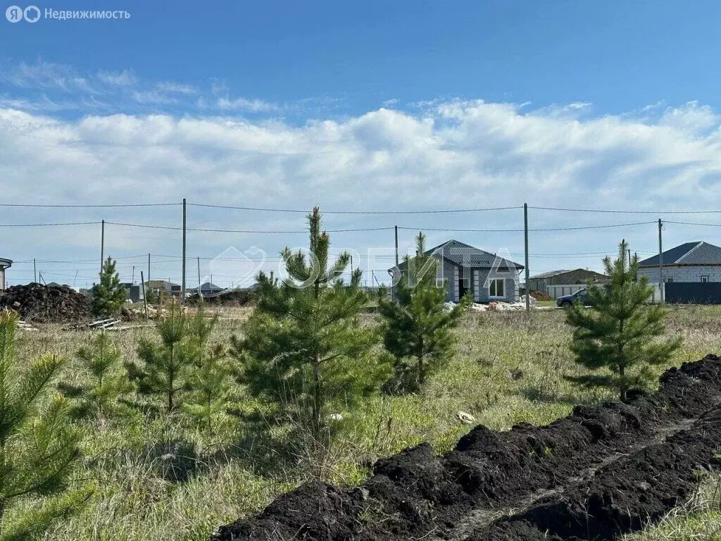 Участок в Тюменский район, деревня Елань (10.61 м) - Фото 0