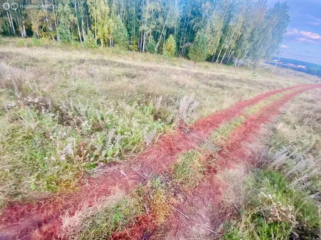 Участок в село Большие Харлуши, коттеджный посёлок Новые Харлуши (9.8 ... - Фото 1