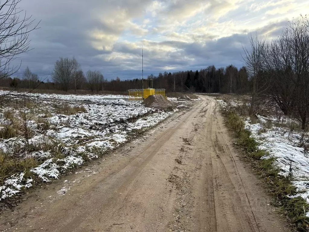 Участок в Владимирская область, Александровский район, ... - Фото 1