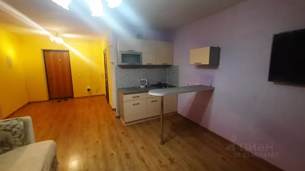 Студия Свердловская область, Екатеринбург ул. Рощинская, 31 (29.9 м) - Фото 1