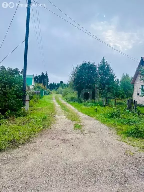 Участок в Выльгорт, СДТ Помидор (10 м) - Фото 0