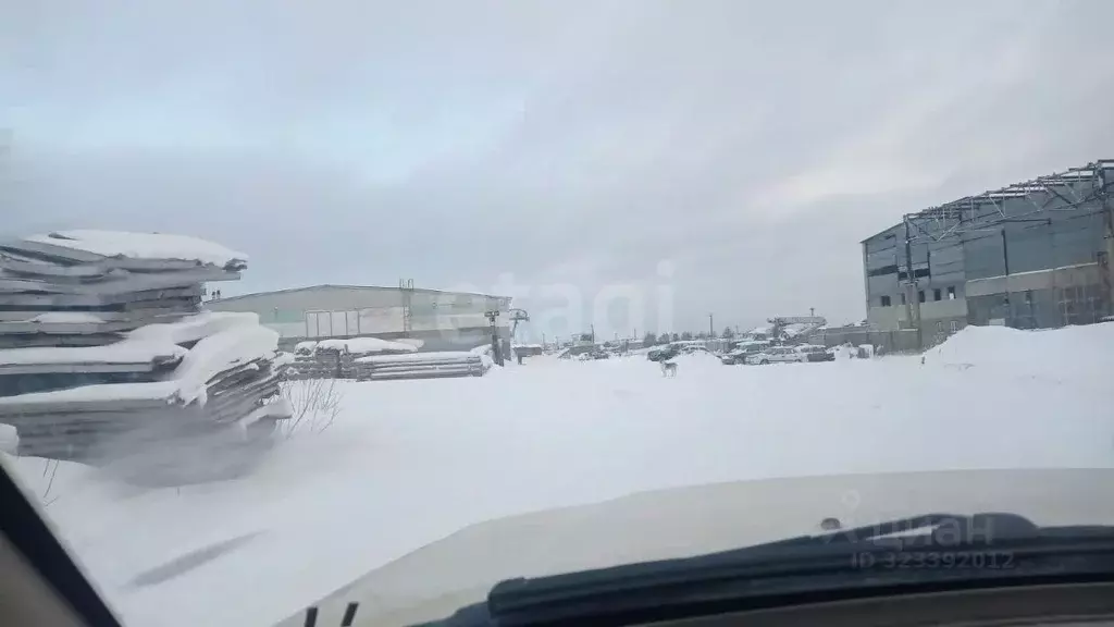 Склад в Ямало-Ненецкий АО, Ноябрьск Промузел Пелей кв-л, 11-я панель, ... - Фото 1