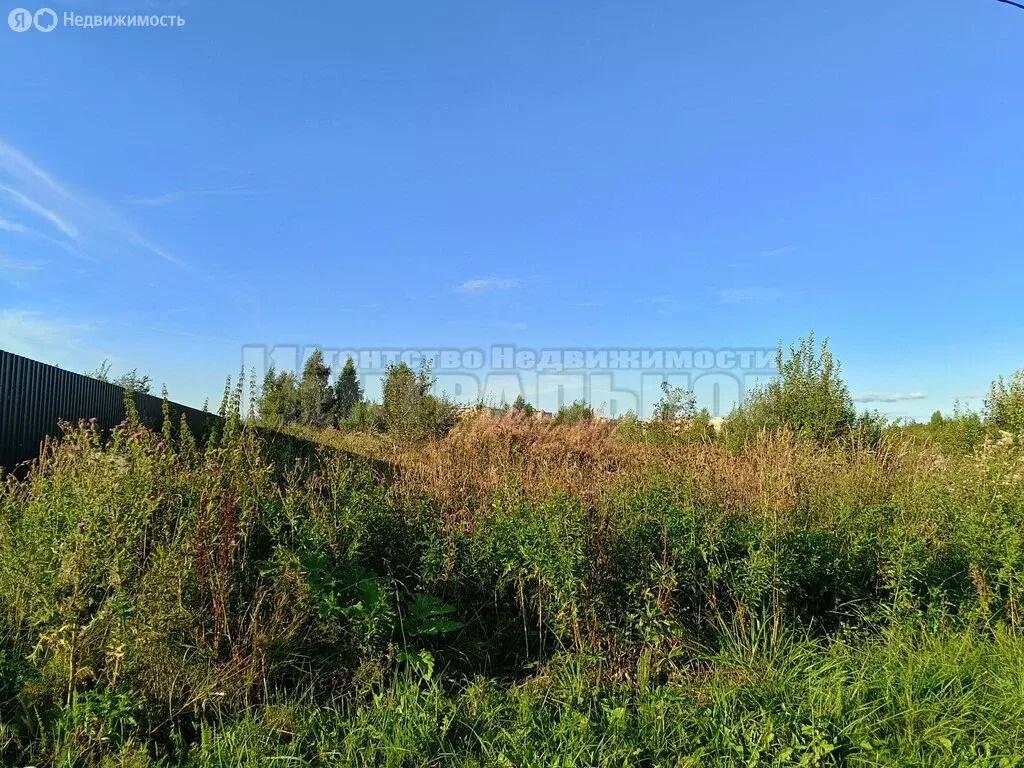 Участок в Станички, Северная улица (15 м) - Фото 0