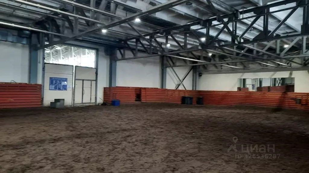 Помещение свободного назначения в Башкортостан, Уфа ул. Менделеева, ... - Фото 2