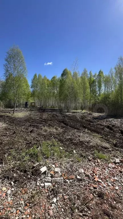 Участок 10 сот. (СНТ, ДНП) - Фото 0
