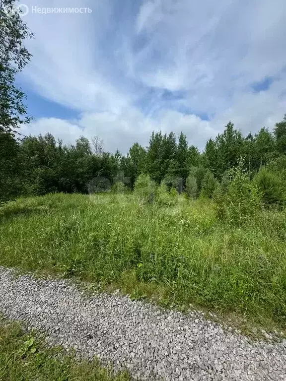 Участок в Тюменский район, СНТ Нива, Грибная улица (7.84 м) - Фото 1