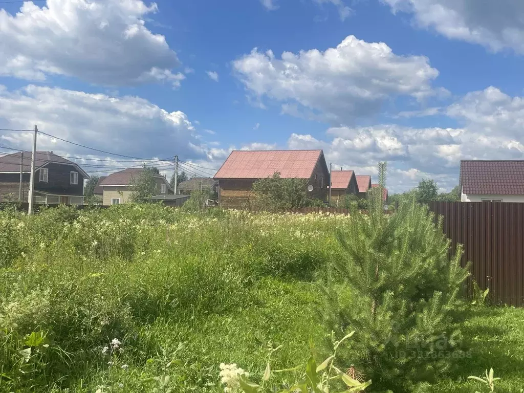 Участок в Московская область, Раменский муниципальный округ, с. Речицы ... - Фото 2