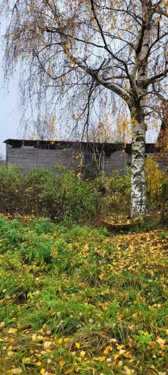 Помещение свободного назначения в Вологодская область, Шекснинский ... - Фото 1