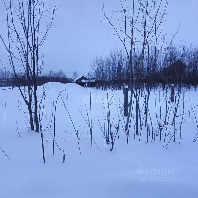 Участок в Коми, Сыктывдинский район, с. Выльгорт ул. Бирюзовая (12.0 ... - Фото 1