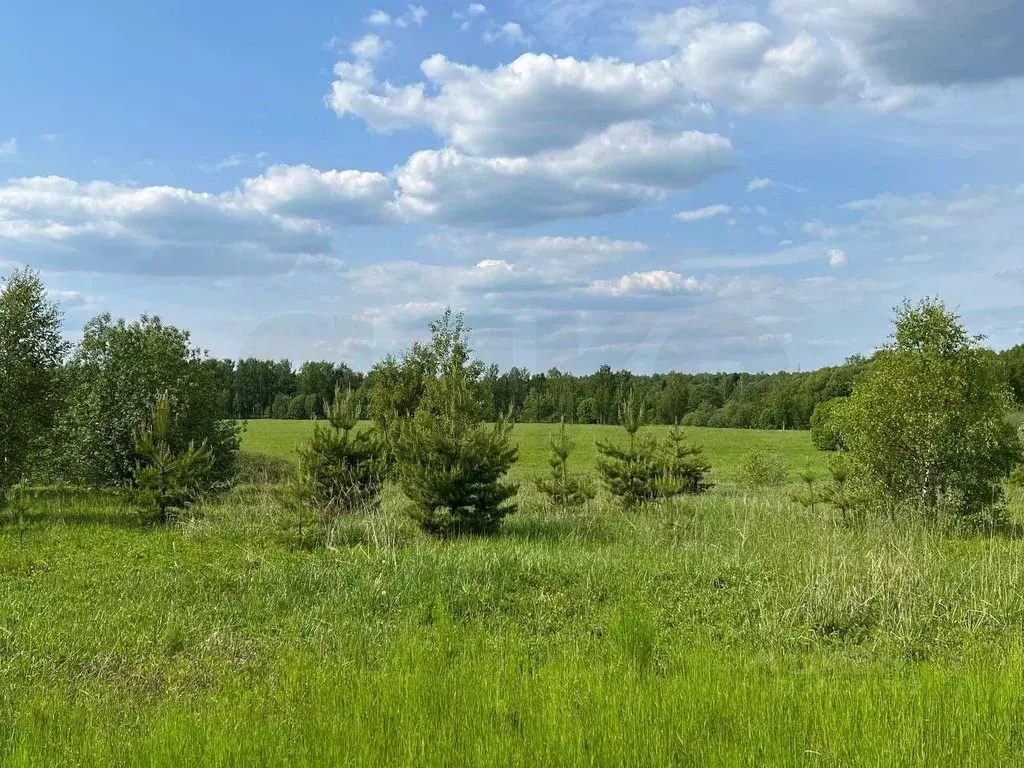 Участок в Московская область, Раменский городской округ, д. Кузяево  ... - Фото 0