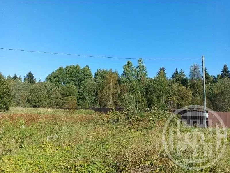 Участок в Ленинградская область, Выборгский район, Красносельское ... - Фото 2