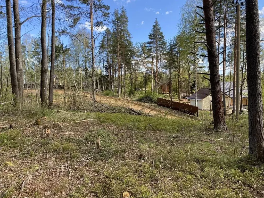 Участок в Ленинградская область, Всеволожский район, Куйвозовское ... - Фото 0